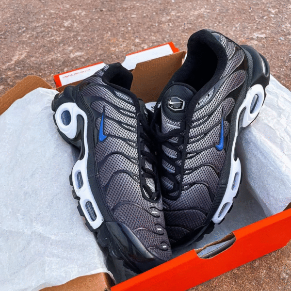 Air Max plus Black Blue Racer
